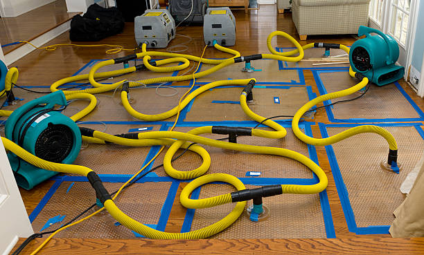 Professional Burst Pipe Water Damage technician working in Mapleton, ND